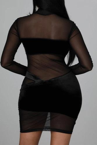 Black Sexy Solid Split Joint See-through Mesh Half A Turtleneck Mini Dresses - Mycia Boutique