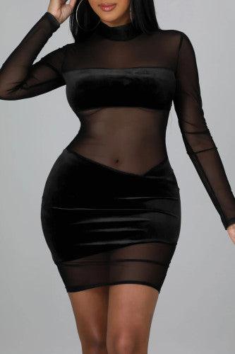 Black Sexy Solid Split Joint See-through Mesh Half A Turtleneck Mini Dresses - Mycia Boutique